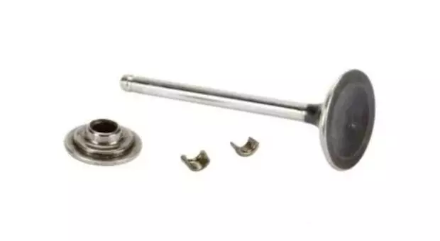 Valve-exhaust - Briggs&Stratton varaosat - 792868 - 1