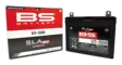 BS Battery U1-500 (FA) SLA MAX - Sealed & Activated - Akut - D528469 - 2