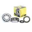 ProX Crankshaft Bearing & Seal Kit RM250 '96-99 - Moottoripyörän tiivisteet ja laakerit - D160059 - 1