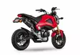 Yoshimura Slip-On Honda Grom 2014-15 Signature Rs-9 So Ss-Cf-Cf - Moottoripyörän äänenvaimentimet - D334149 - 1