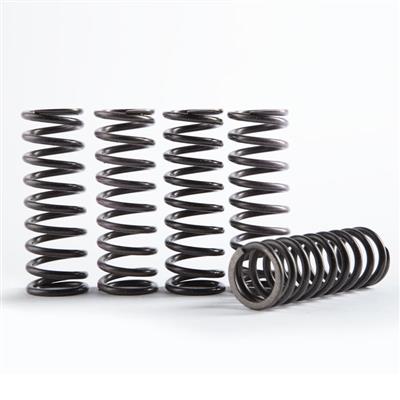 Hinson Clutch Springs YZ250F 14-18, YZ250FX/WR250F 15- - Moottoripyörän kytkinosat - D392839 - 1