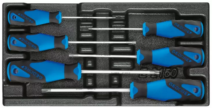 Screwdriver set in 1/3 es tool module 1500 es-2163 txb, gedore - Työkalut työkaluvaunuihin - 503-1616625GED - 1