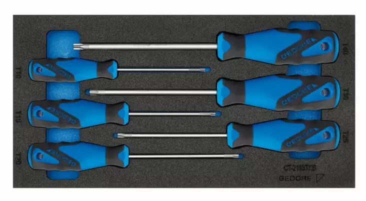 Screwdriver set in 1/3 module 1500 ct1-2163, gedore - Työkalut työkaluvaunuihin - 503-2309157GED - 1