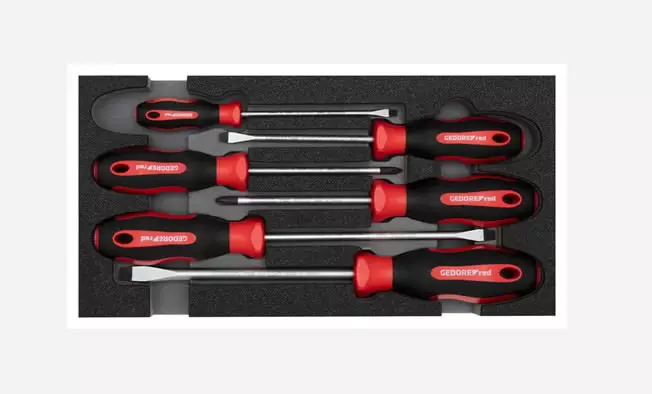 Screwdriver set ph+sl 2/6 ct-module 6pcs r22150013, gedore red - Ruuvimeisselit - 503-3301712GEDRED - 1