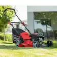 Vetävä ruohonleikkuri ms161-46, scheppach - Bensakäyttöiset ruohonleikkurit - 503-5911244905SCHE - 1