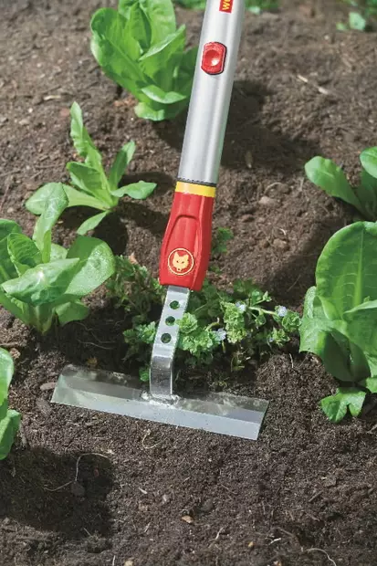 Gs-m 14 käytävä multi star, wolf garten - Wolf-Gartnen Multistar työkalut - 503-71AAA012650WG - 2