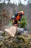 Forestry set with helmet, earmuffs and visor x5507vx4fh15j-ce, 3m - Suojakypärät ja -päähineet - 503-71003303303M - 3