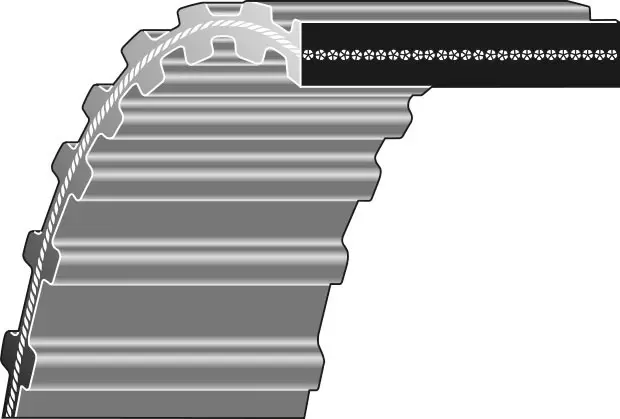 Mitsuboshi belt std 1600-ds8m-20 - Tarvikevaraosat - RPDS8M160020M - 1