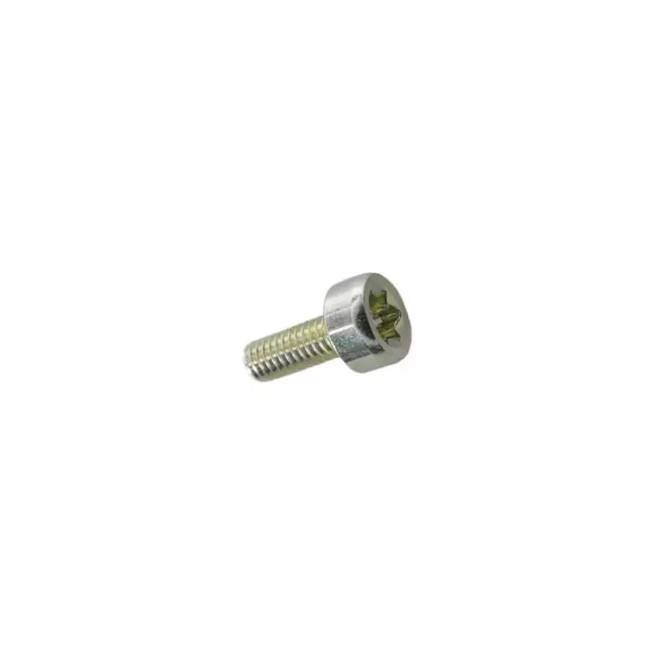 Bolt, torx 4, echo - Tarvikevaraosat-503 - 503-V804000040ECHO - 1