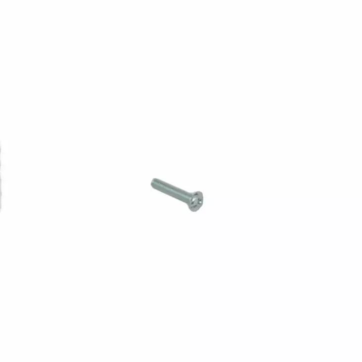 Screw, echo - Tarvikevaraosat-503 - 503-P005001900ECHO - 1