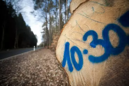 Metsän merkintäspray distein forest - neon blue 500ml, motip - Merkintävälineet - 503-201349MOTIP - 2