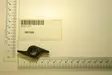 Wing nut, scheppach - Tarvikevaraosat-503 - 503-05010202SCHEP - 1
