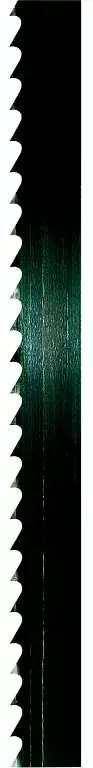 Vannesahan terä Basa 4 2895x15x0,65mm 4 TPI, Scheppach - Pistosahanterät - 503-73230704SCHEP - 1